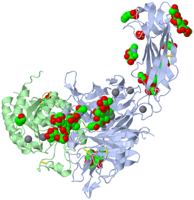 Image Asym./Biol. Unit