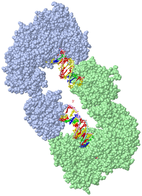 Image Asymmetric Unit