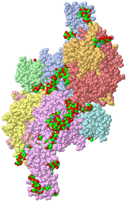 Image Asym./Biol. Unit - sites