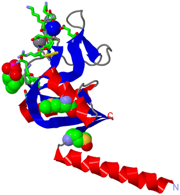 Image Asym. Unit - sites