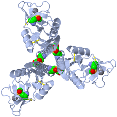 Image Biological Unit 1