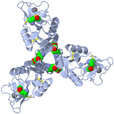 Image Biological Unit 1