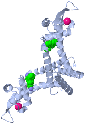 Image Biological Unit 1