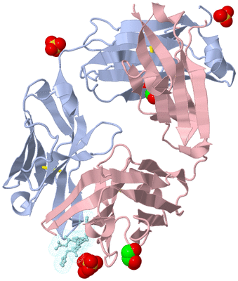 Image Biological Unit 1