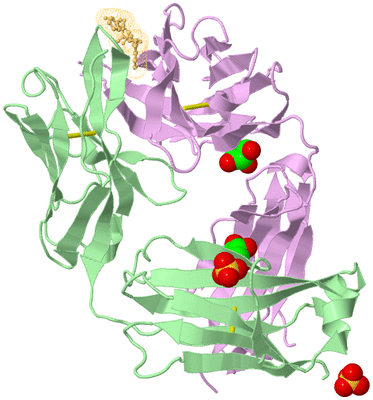 Image Biological Unit 2