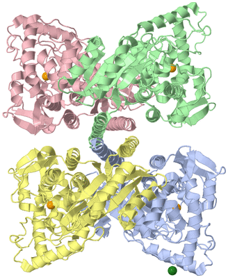 Image Asym./Biol. Unit