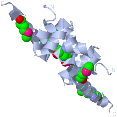 Image Biological Unit 2