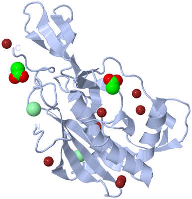 Image Biological Unit 1