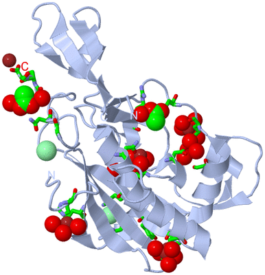 Image Biol. Unit 1 - sites