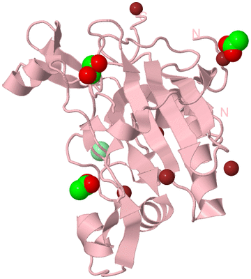 Image Biological Unit 3