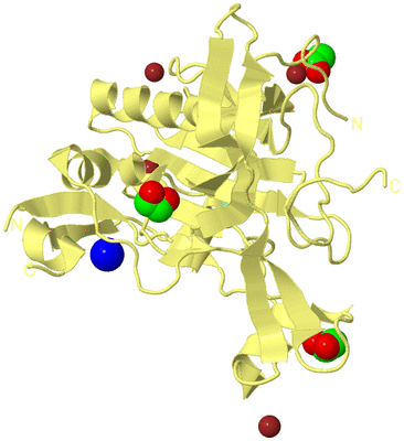 Image Biological Unit 4