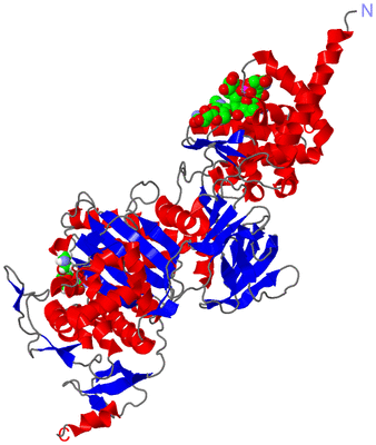 Image Asym./Biol. Unit