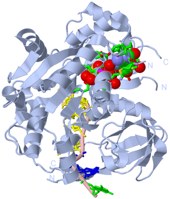 Image Biol. Unit 1 - sites