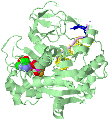 Image Biological Unit 2