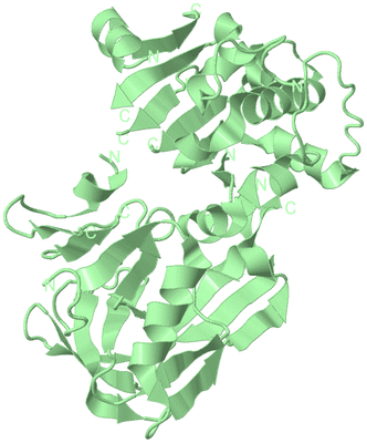 Image Biological Unit 2