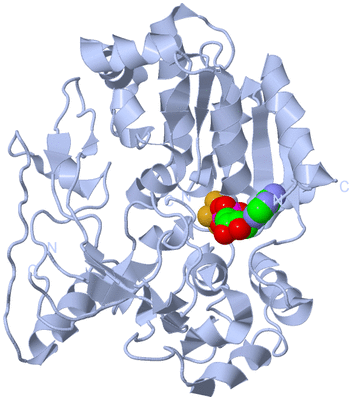 Image Biological Unit 1