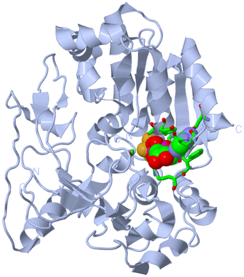 Image Biol. Unit 1 - sites