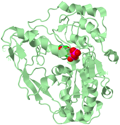 Image Biological Unit 2