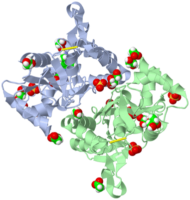 Image Asym./Biol. Unit