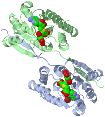 Image Asym./Biol. Unit