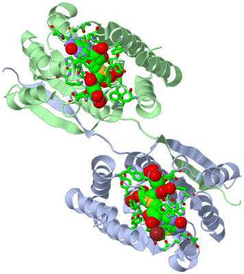 Image Asym./Biol. Unit - sites