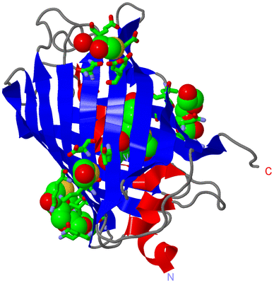 Image Asym./Biol. Unit - sites