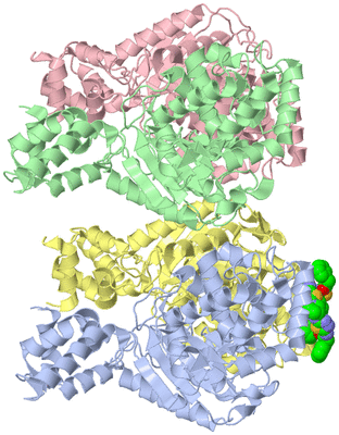 Image Biological Unit 1