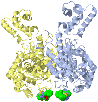 Image Biological Unit 2