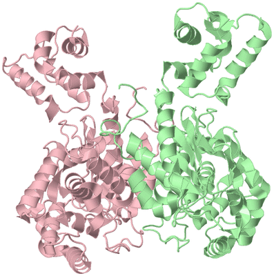 Image Biological Unit 3