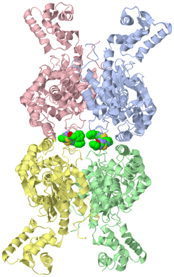 Image Asym./Biol. Unit