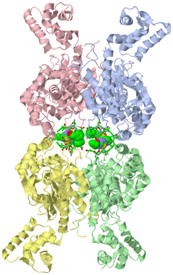 Image Asym./Biol. Unit - sites