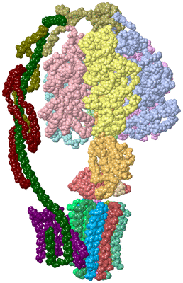 Image Asym./Biol. Unit