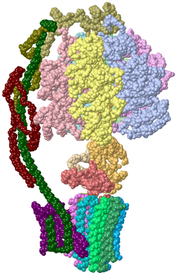 Image Asym./Biol. Unit