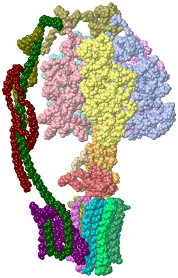 Image Asym./Biol. Unit