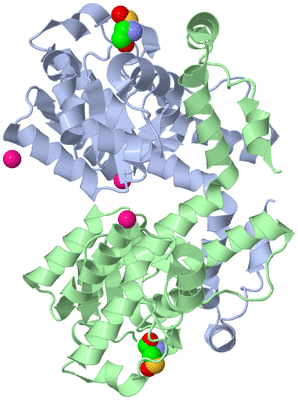 Image Asym./Biol. Unit