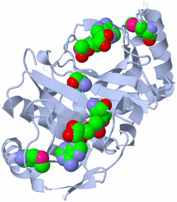 Image Biological Unit 1