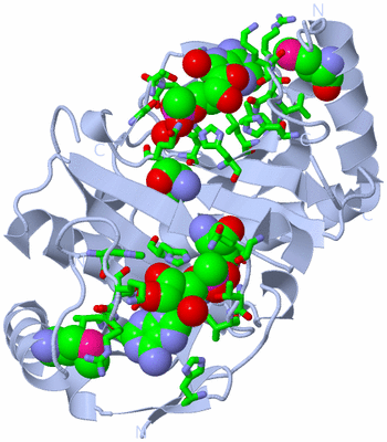 Image Biol. Unit 1 - sites