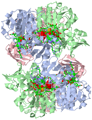 Image Biol. Unit 1 - sites