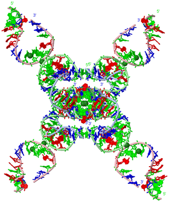 Image Biological Unit 1