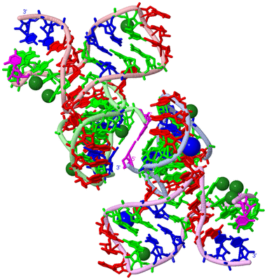 Image Biological Unit 1