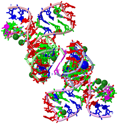 Image Biol. Unit 1 - sites