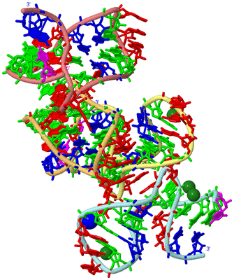 Image Biological Unit 2