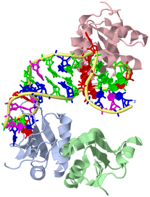 Image Biological Unit 1