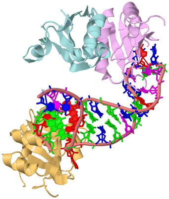 Image Biological Unit 2