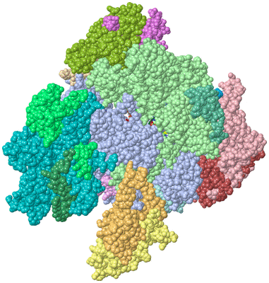 Image Asym./Biol. Unit