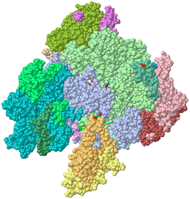 Image Asym./Biol. Unit - sites