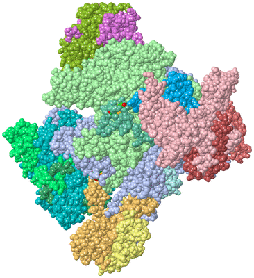 Image Asym./Biol. Unit - sites