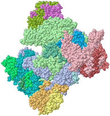 Image Asym./Biol. Unit