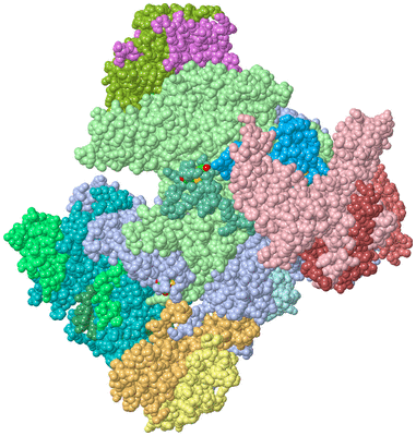 Image Asym./Biol. Unit - sites