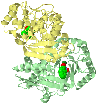 Image Biological Unit 1